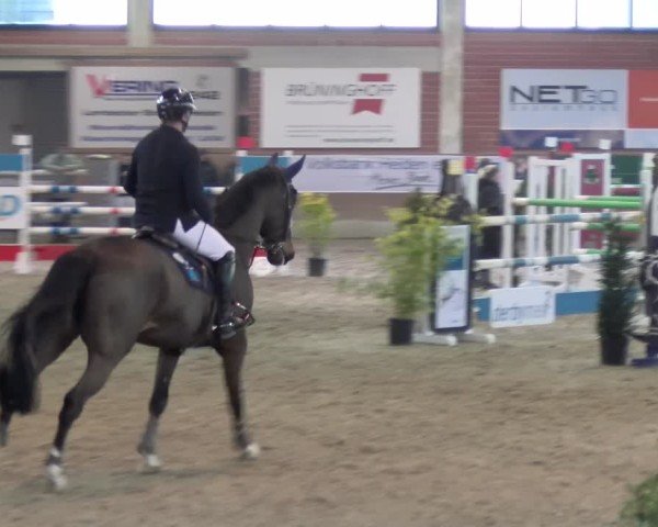 Reitturnier Heiden 2025