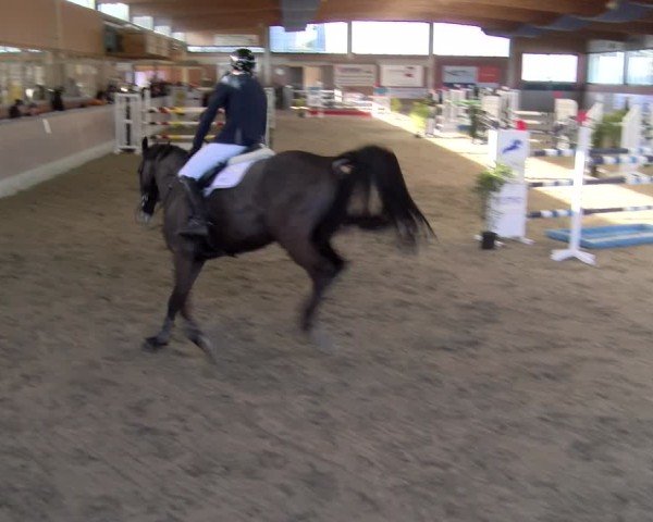 Reitturnier Heiden 2025