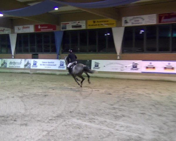 Reitturnier Heiden 2025