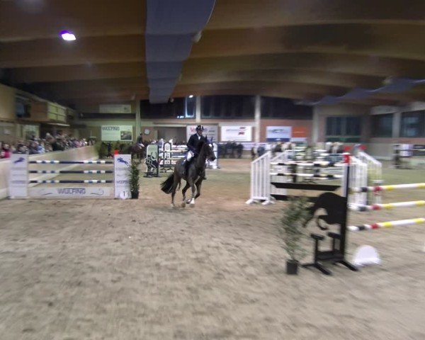 Reitturnier Heiden 2025