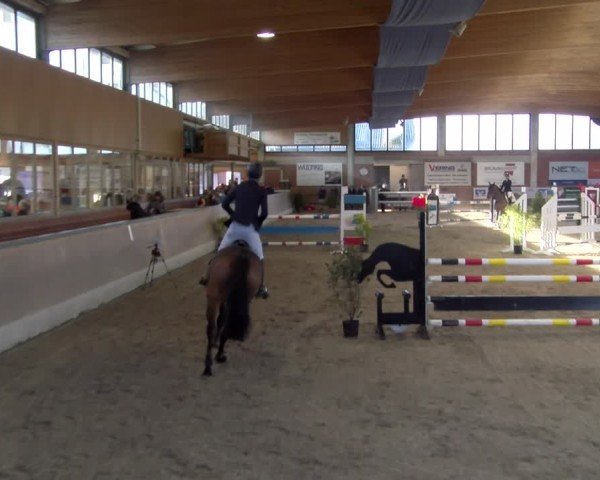 Reitturnier Heiden 2025