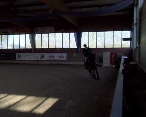 Reitturnier Heiden 2025