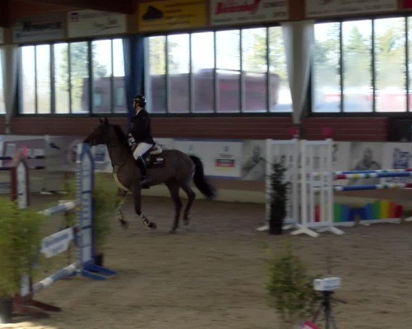 Reitturnier Heiden 2025