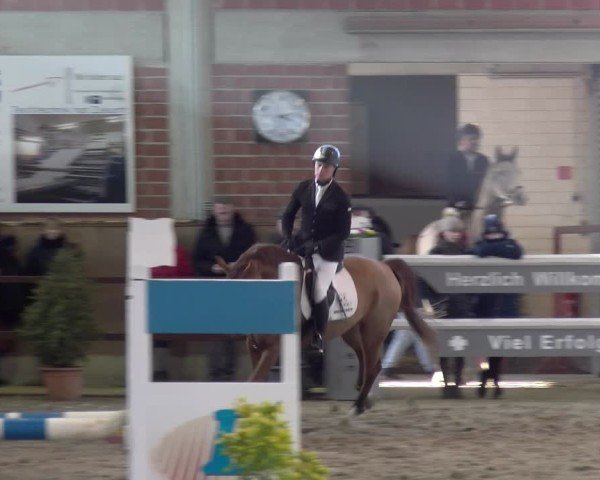Reitturnier Heiden 2025