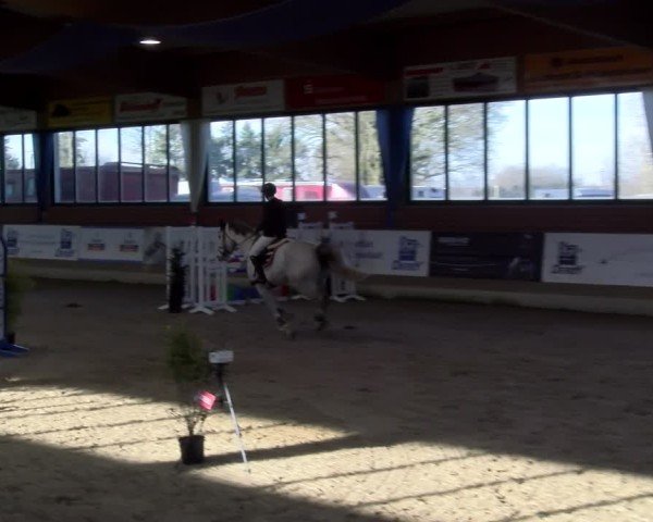 Reitturnier Heiden 2025