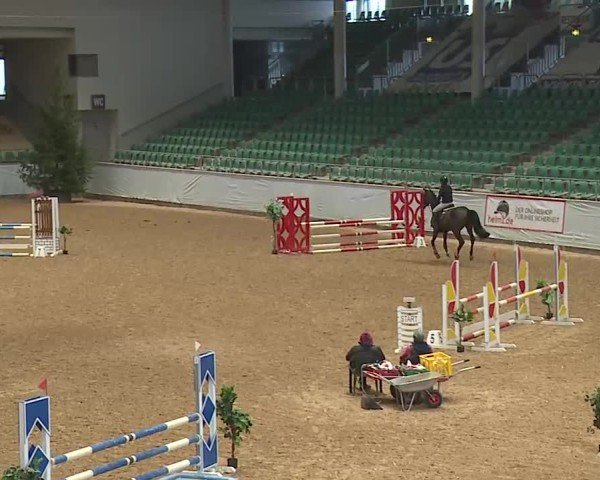 Reitturnier Kreuth 2025