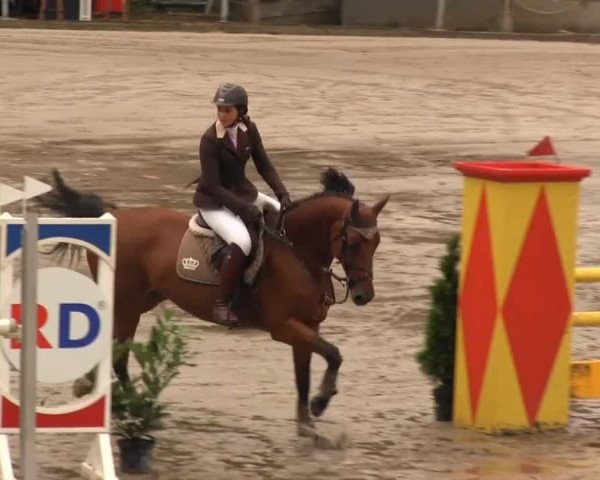Großes Springturnier Siegener Reitverein 2013