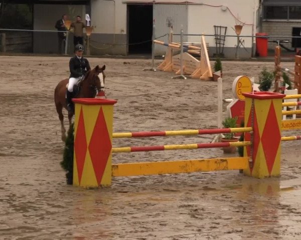 Großes Springturnier Siegener Reitverein 2013