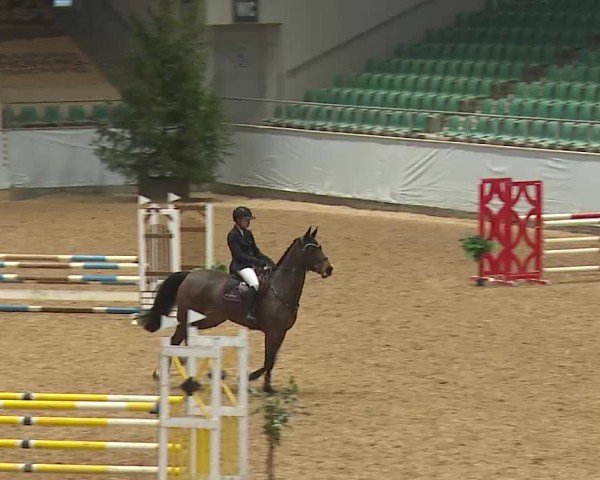 Reitturnier Kreuth 2025