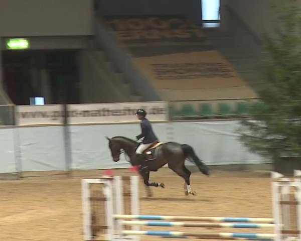 Reitturnier Kreuth 2025