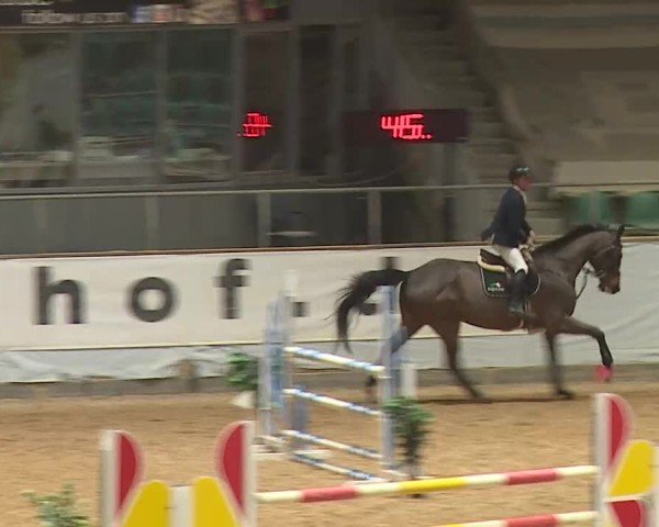 Reitturnier Kreuth 2025