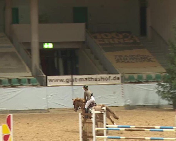Reitturnier Kreuth 2025