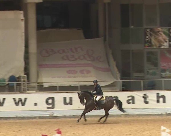 Reitturnier Kreuth 2025