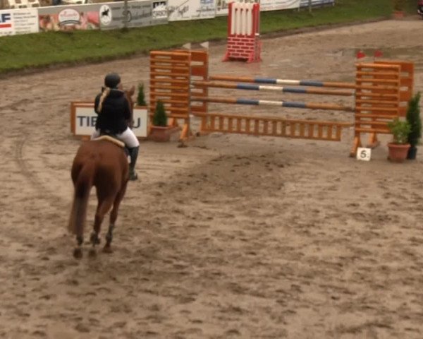 Großes Springturnier Siegener Reitverein 2013