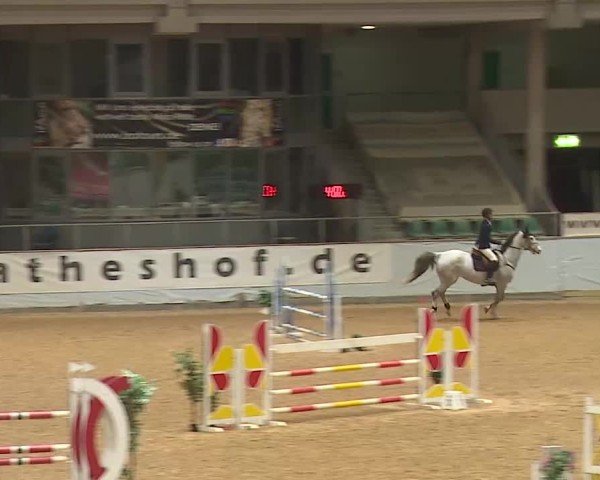 Reitturnier Kreuth 2025