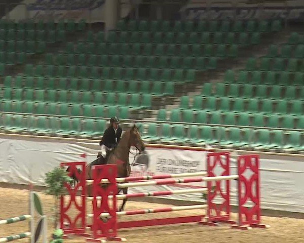 Reitturnier Kreuth 2025