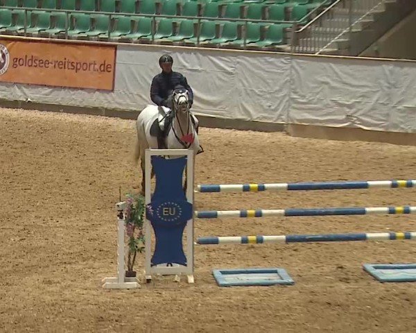 Reitturnier Kreuth 2025
