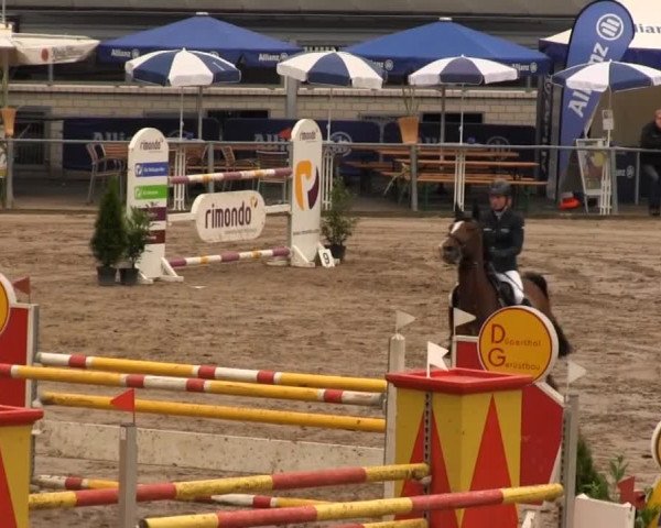 Großes Springturnier Siegener Reitverein 2013