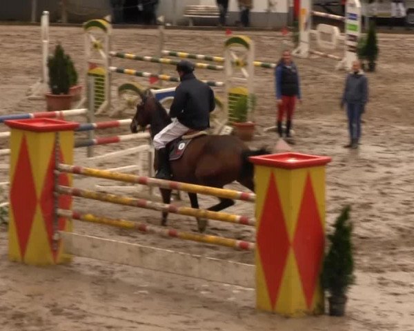 Großes Springturnier Siegener Reitverein 2013