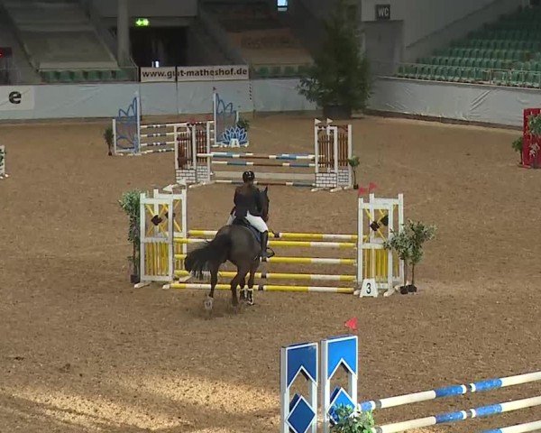 Reitturnier Kreuth 2025