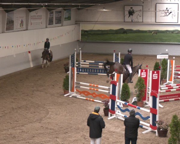 Reitturnier Legden 2025