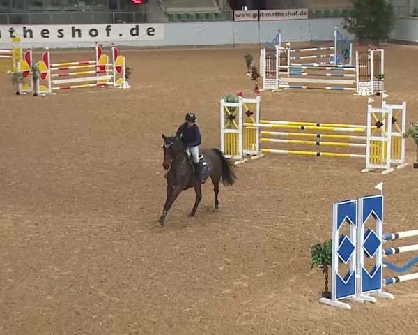 Reitturnier Kreuth 2025