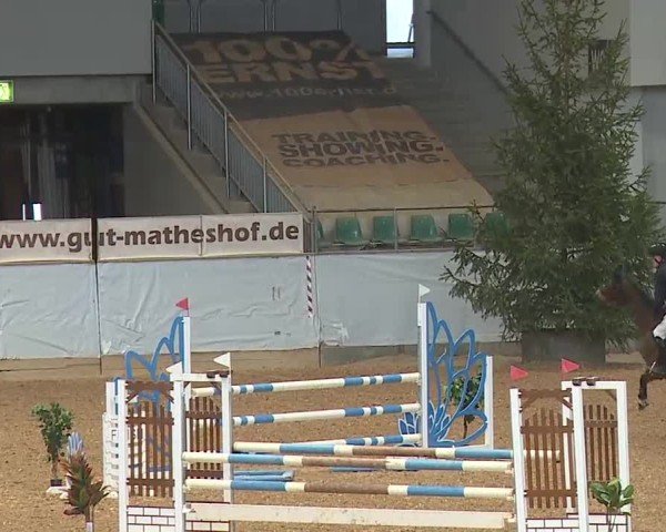 Reitturnier Kreuth 2025