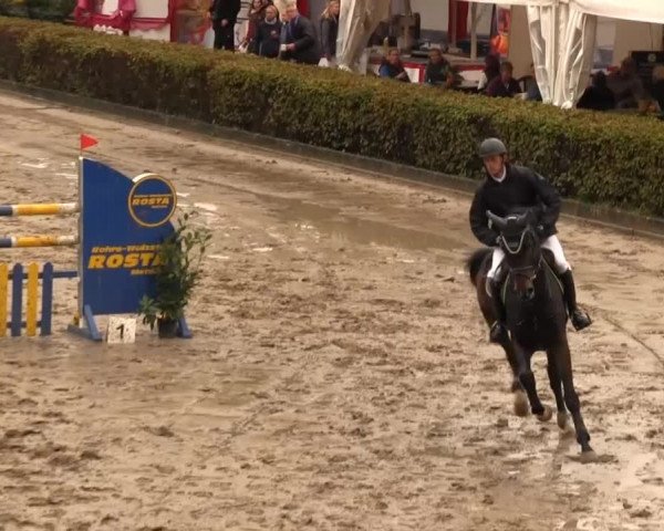 Großes Springturnier Siegener Reitverein 2013