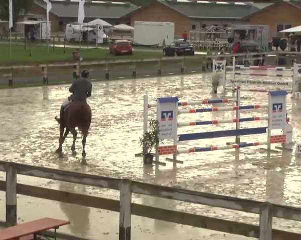Springturnier Hubertushof RSG Linkenheim-Hochstetten 2013