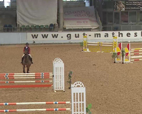 Reitturnier Kreuth 2025