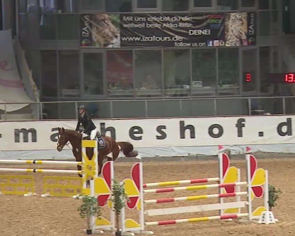 Reitturnier Kreuth 2025