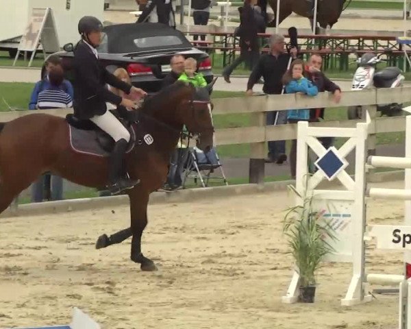 Springturnier Hubertushof RSG Linkenheim-Hochstetten 2013