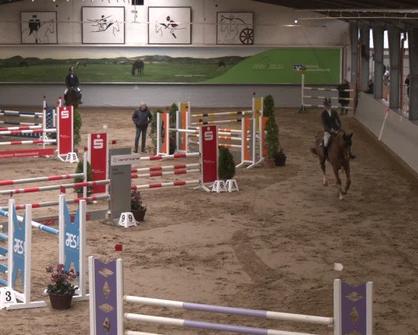 Reitturnier Legden 2025