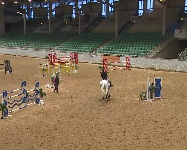 Reitturnier Kreuth 2025
