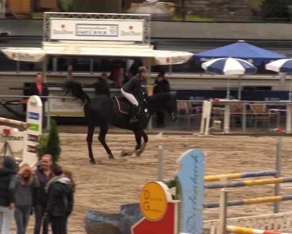 Großes Springturnier Siegener Reitverein 2013