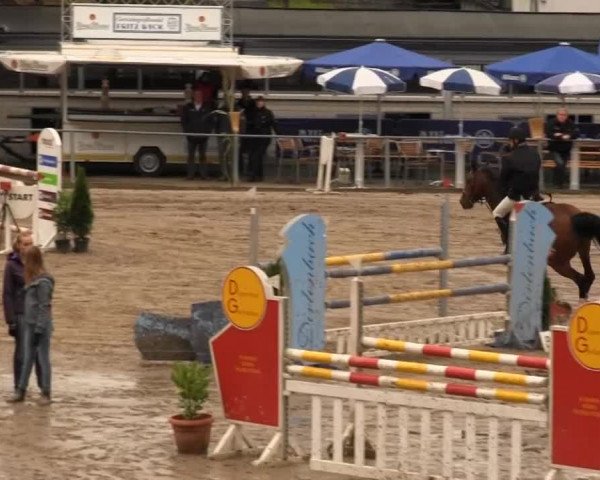 Großes Springturnier Siegener Reitverein 2013