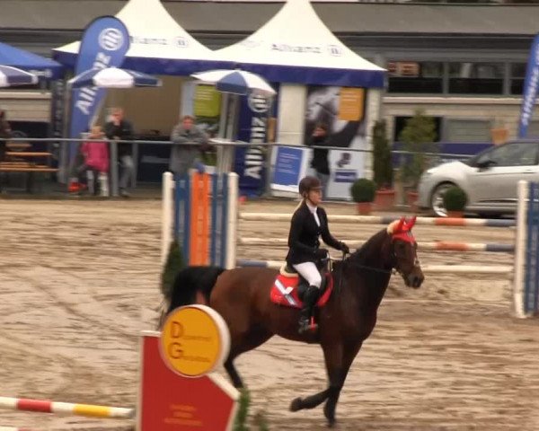 Großes Springturnier Siegener Reitverein 2013