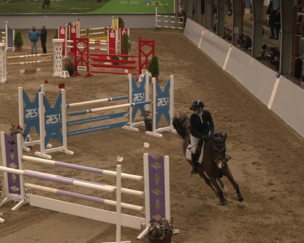 Reitturnier Legden 2025