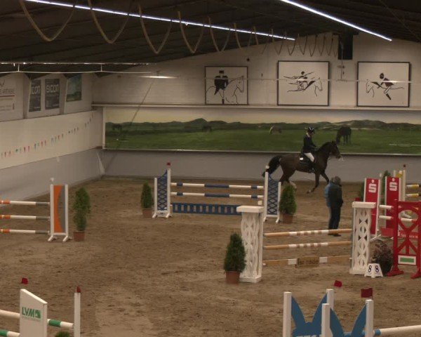 Reitturnier Legden 2025