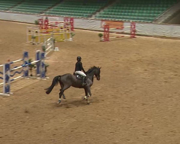 Reitturnier Kreuth 2025