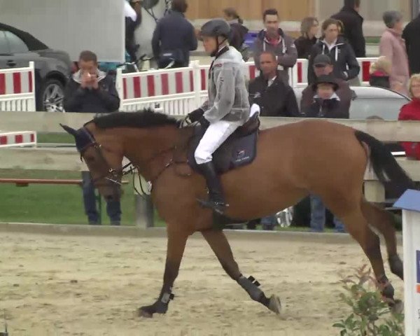 Springturnier Hubertushof RSG Linkenheim-Hochstetten 2013