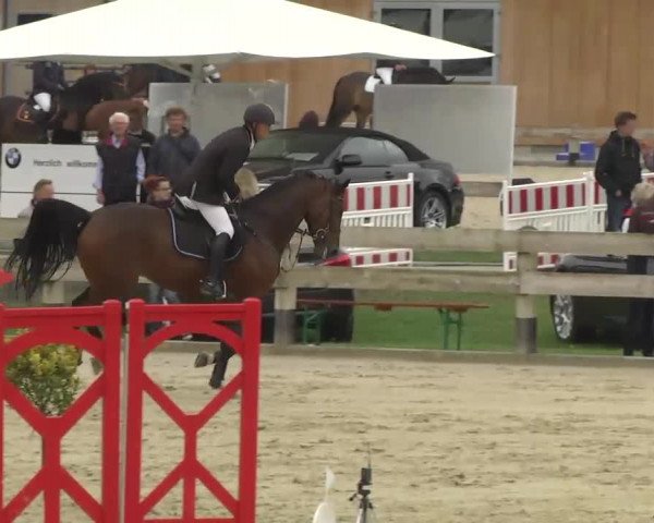 Reitturnier Linkenheim-Hochstetten 2013