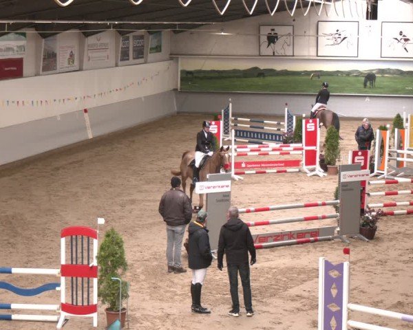 Reitturnier Legden 2025