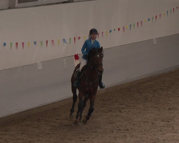 Reitturnier Legden 2025