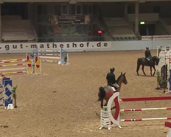 Reitturnier Kreuth 2025