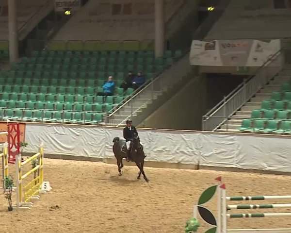 Reitturnier Kreuth 2025