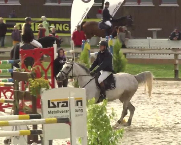 Reitturnier Linkenheim-Hochstetten 2013