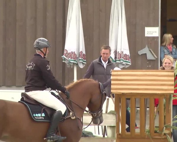 Springturnier Hubertushof RSG Linkenheim-Hochstetten 2013