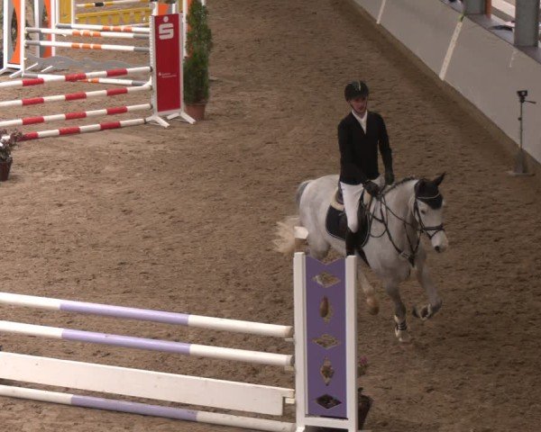 Reitturnier Legden 2025