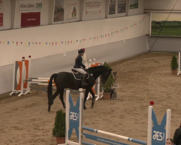 Reitturnier Legden 2025